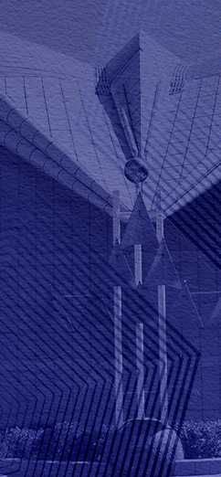 國產色情片学习贯彻党的二十届四中全会精神专题新闻